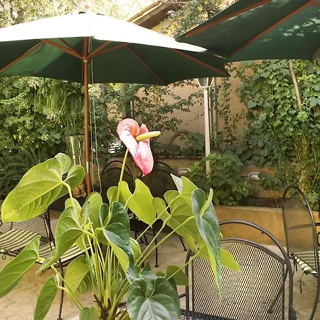 Otel Delle Rose Roma