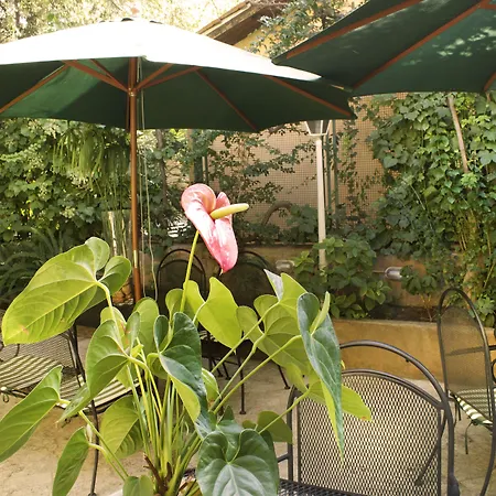 Delle Rose 3*