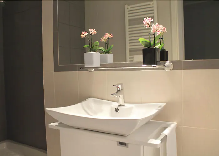 酒店 玫瑰别墅酒店 3*