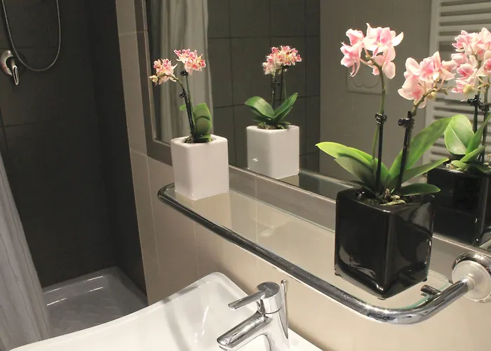 玫瑰别墅酒店 酒店 3*