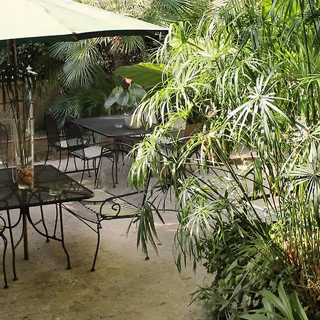 Hotel Delle Rose Roma